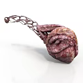 3D Rendered Organ With Hair Like Fibrous Structure And Textured Marbled Surface