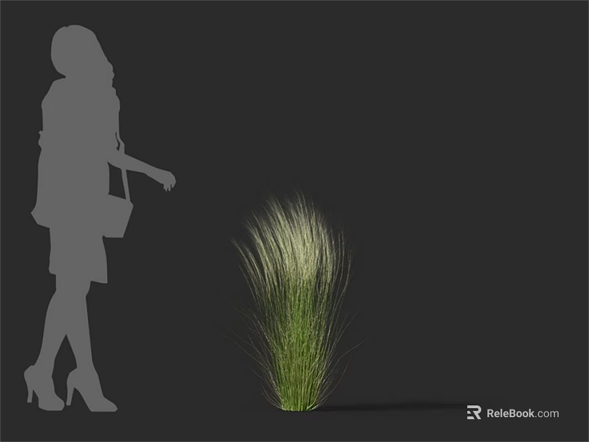 Elegant Tall Slender Leaf Grass With Female Silhouette In Gray Background 3d model 