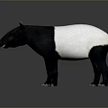 Game And Movie Character Tapir With Black And White Body Long Snout Standing Pose
