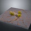 Lush Green Grass Plants Growing Through Dry Cracked Concrete Surface