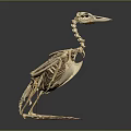 Modern Skeleton Moonbird Skeleton Cormorant Skeleton 3d model