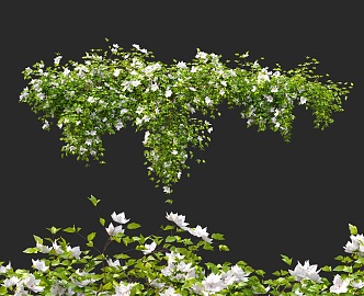 Green Plant Vine Plant Green Plant Flowers Outdoor Vine Hanging Basket 3d model