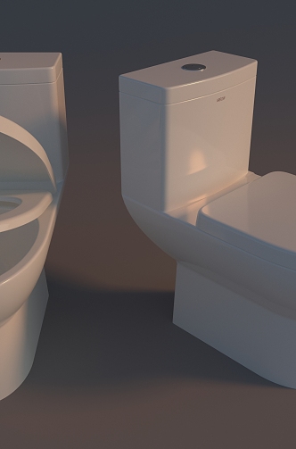 Toilet toilet squatting 3d model