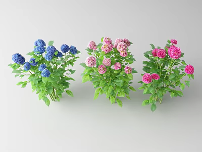 Three Beautiful Vibrant Blue Pink Red Flower Bouquets With Fresh Green Leaves 3d model