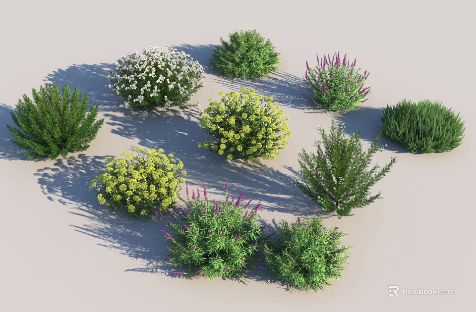 Diverse Garden Shrubs With White Yellow Purple Flowers And Green Foliage 3d model 