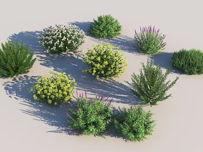 Diverse Garden Shrubs With White Yellow Purple Flowers And Green Foliage 3d model