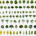 Categorized Landscape Trees Collection Featuring Different Species For Garden Design 3d model