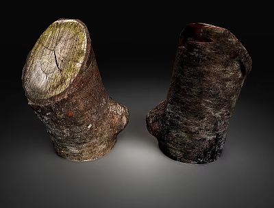 Natural Wood Stumps With Organic Texture For Rustic Stone And Wood Decor 3d model
