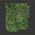 Detailed Realistic Green Terrain Model Showcasing Lush Vegetation And Undulating Landforms