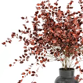 Two Modern Black Vases With Red Foliage Arrangement For Home Decor