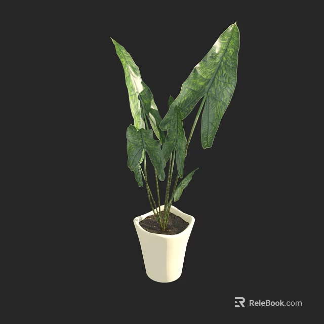 Green Leafy Plant in White Pot with Long Stems and Foliage Against Black Background 3d model 