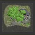 Green Leafy Plant With Stones Small Waterfall Moss And Pathway