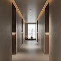 Elegant Hotel Corridor Interior Design With Room Numbers Window And Potted Plant