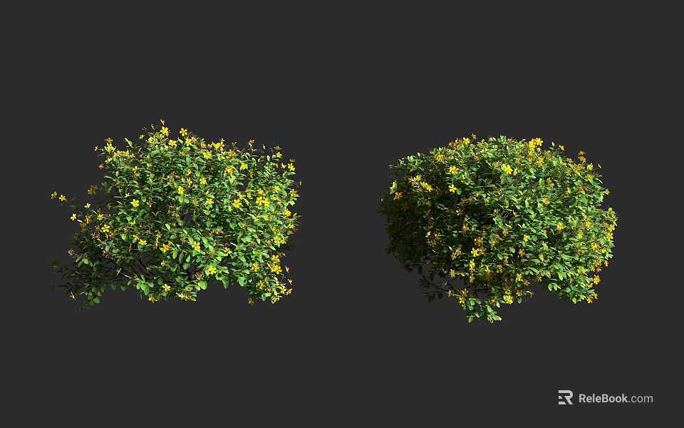 Two Lush Green Shrubs With Small Yellow Flowers And Healthy Foliage 3d model 