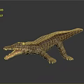 Modern Crocodile Alligator Nile Crocodile carnivore 3d model