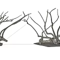 Natural Dry Arbor Branches With Twisted Bare Structure On White Background 3d model