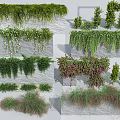 Various Decorative Vines with Different Leaf Colors Growing on Stone Walls and Structures 3d model