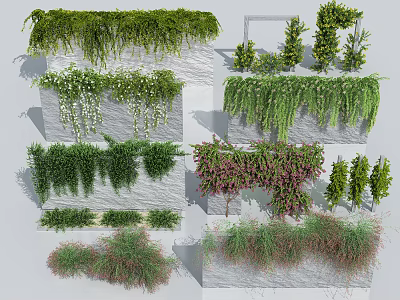 Various Decorative Vines with Different Leaf Colors Growing on Stone Walls and Structures 3d model