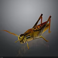 Grasshopper 3D Model With Yellow Red Color And Artistic Patterns On Dark Reflective Surface 3d model