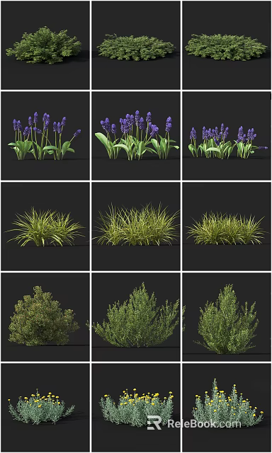 Different Types of Garden Shrubs Including Purple Lavender and Green Grasses 3d model 