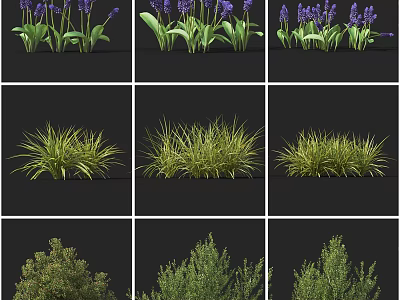 Different Types of Garden Shrubs Including Purple Lavender and Green Grasses 3d model