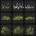 Different Types of Garden Shrubs Including Purple Lavender and Green Grasses