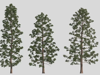 Three Tall Arbors Featuring Lush Green Foliage And Various Natural Shapes 3d model