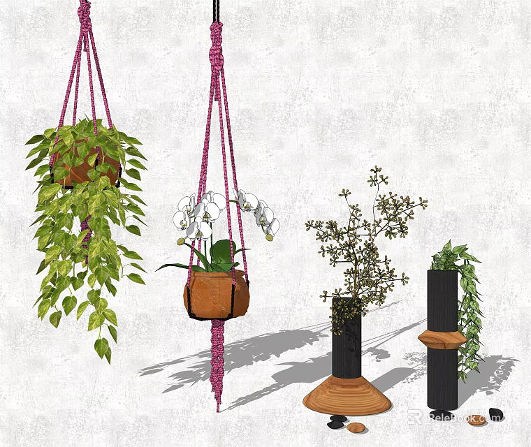 Hanging Basket Plants With Green Trailing Leaves White Flowers And Purple Macramé Ropes 3d model 