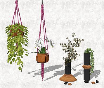 Modern hanging basket plant ornaments combination 3d model