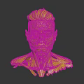 Human Head Anatomical 3D Model Showing Facial Organs Hair And Muscle Layers