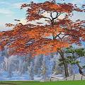 red maple tree maple leaf 3d model