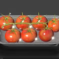 Ripe Red Tomatoes With Fresh Green Leaves On Gray Tray