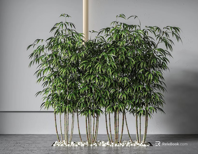 Lush Green Bamboo Plants With Slender Stems And White Pebbles For Indoor Decoration 3d model 