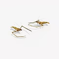 Aquatic Animals Two Mantis Shrimp Displaying Natural Poses And Detailed Appendages