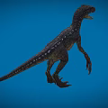 Velociraptor Speed Dragon Microraptor Dinosaur Reptile Ancient Biology Meat-eating Dinosaur Jurassic Low Face Number Low Model Simple Model Game Movie Realistic 3d model