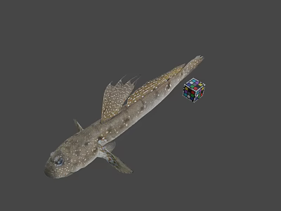 Fish With Spots And Fins Next To Colorful Rubik Cube 3d model