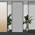 Modern Glass Partitions With Metal Frames And Decorative Plants In Interior Design