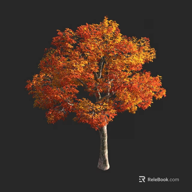 Tall Tree with Vibrant Orange and Yellow Autumn Leaves Against Dark Background 3d model 