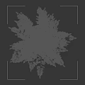 Tall Evergreen Arbor With Dense Foliage And Straight Trunk Isolated On Black Background