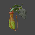 3D Model of Pitcher Plant With Green Leaves Red Striped Pitcher And Yellow Light
