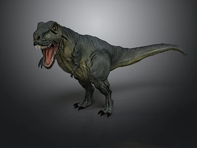 Realistic Tyrannosaurus Rex 3D Model Standing With Open Mouth On Gray Background 3d model