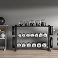 Professional Fitness Equipment Collection With Kettlebells Dumbbell Plates And Medicine Balls On Metal Storage Racks