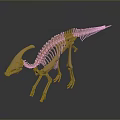 Dinosaur Organ And Hair Features In Skeleton Model With Orange Bone Structure