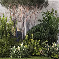 Garden Ornament Landscaping With Various Green Plants Trees Stones And Decorative Foliage