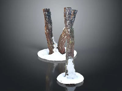 Wooden Stone Sculptures Two Artistic Pieces With Snow Like Base On Black Reflective Background 3d model