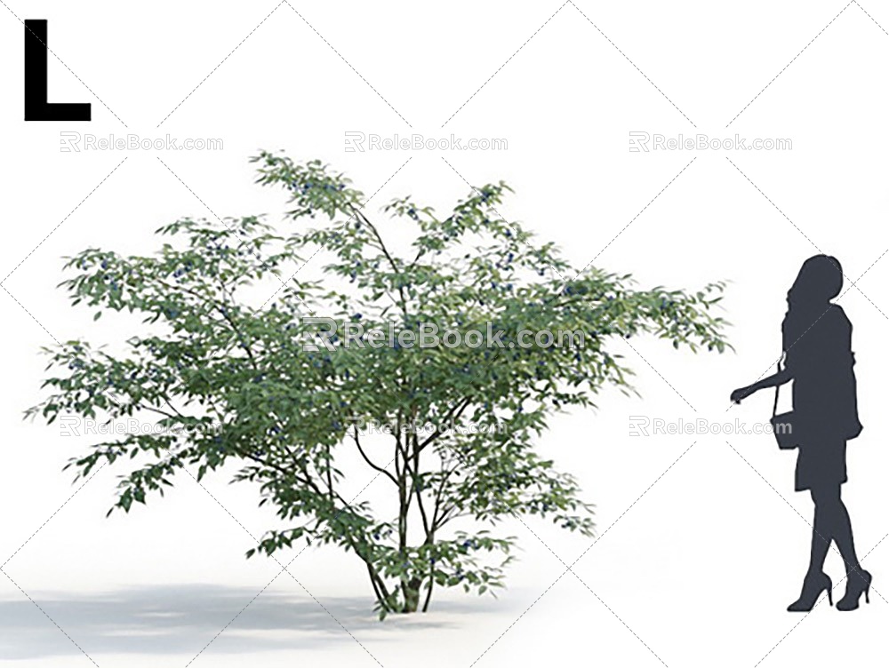 Modern shrub bilberry 3d model