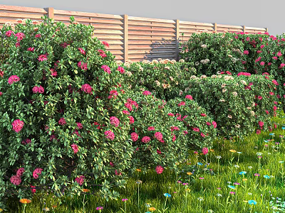 Lush Flowering Bushes With Pink And White Blooms In Green Grass Near Wooden Fence 3d model