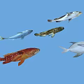 Colorful Aquatic Animals Including Spotted Striped And Red Fish In Blue Water