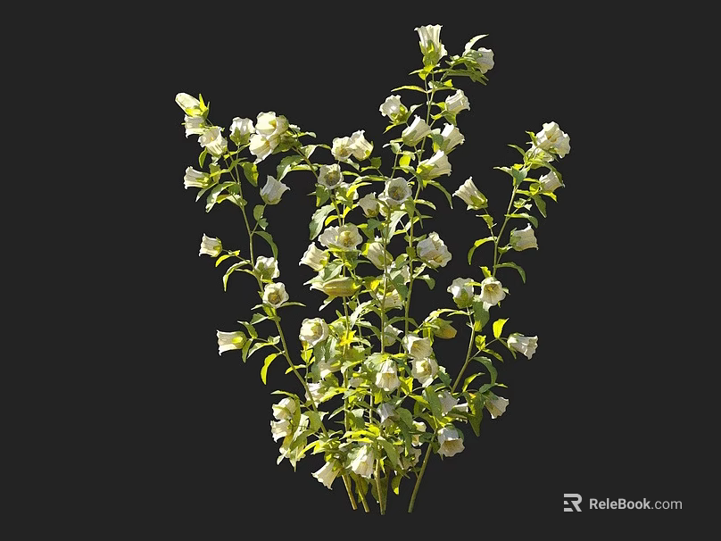 Fresh White Flowers With Green Leaves And Multiple Blooms In Bunch 3d model 
