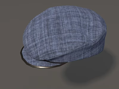 Blue Plaid Fabric Hat With Dark Trim Brim And Classic Design 3d model Blue Plaid Fabric Hat With Dark Trim Brim And Classic Design 3d model